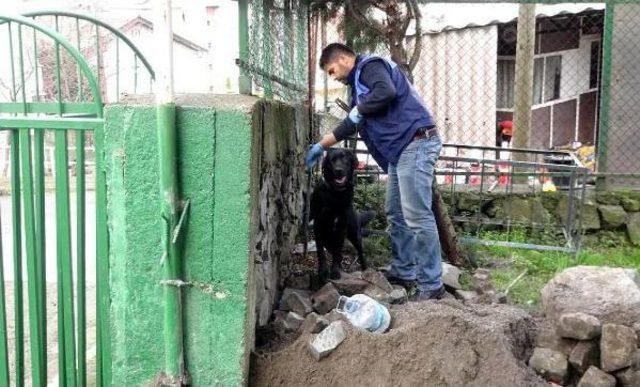 Ereğli'de Uyuşturu Operasyonu: 10 Gözaltı