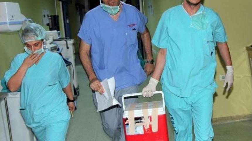 Organları 4 Kişiye Umut Oldu