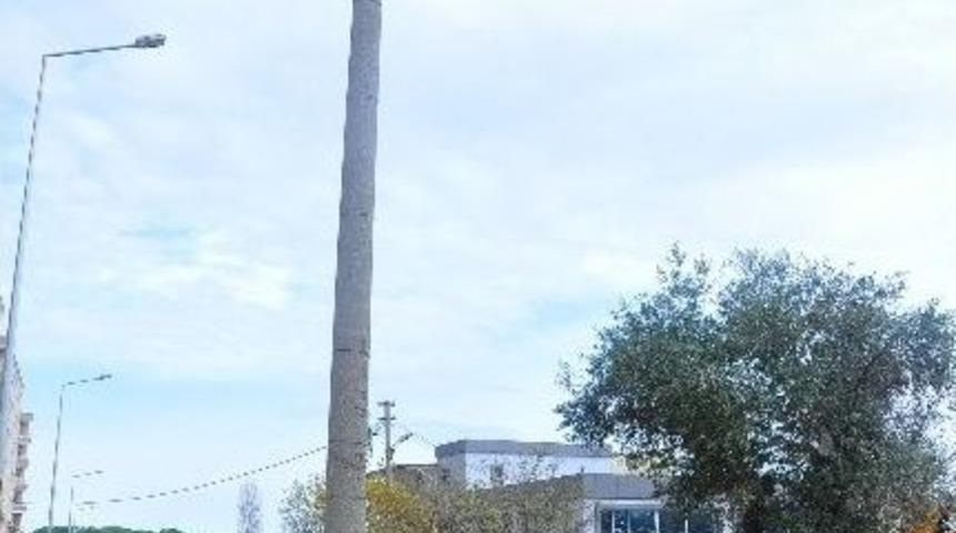 (&ouml;zel Haber) Ortada Direk Var, Yandan Ge&ccedil;