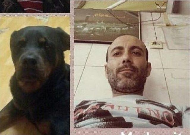 Köpek Kurbanı, Kendini Asarak İntihar Etmiş