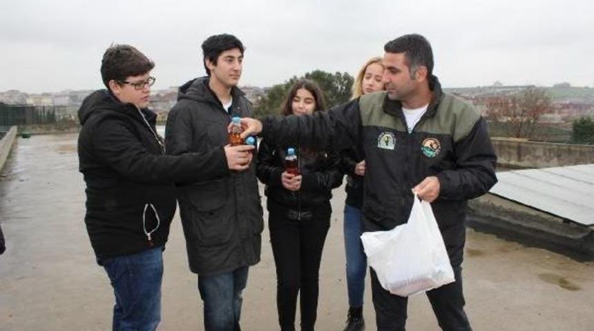 Şempanzelere Vitaminli Sıcak &Ccedil;ay