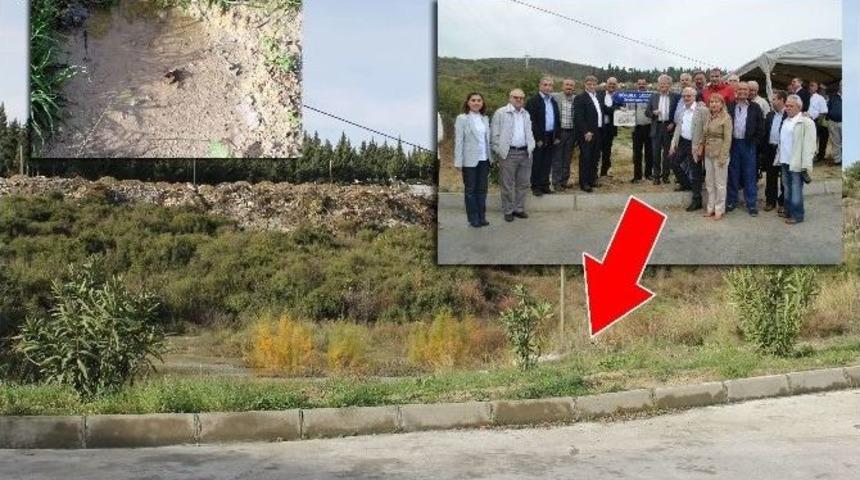 S&ouml;ke&rsquo;de Kardeş Şehir Caddesinin Tabelası &Ccedil;alındı