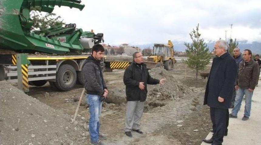 Erzincan Belediyesi 100 Ağacı Toprakla Buluşturdu