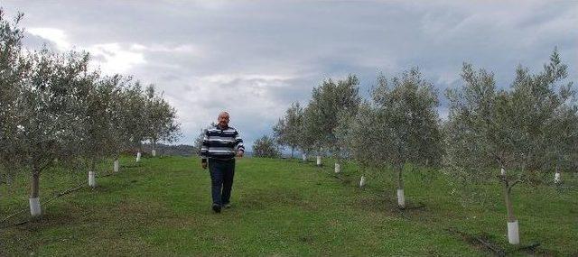 Aydın&rsquo;da Bir İşletme Kanatlı Hayvanları Temizlik İş&ccedil;isi Olarak Kullanmaya Başladı 2