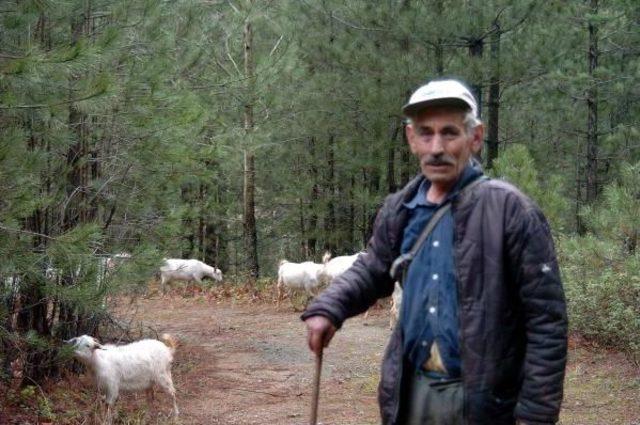 Kazdağları ndaki Eski Yerleşim Yeri Gizemini Koruyor 3