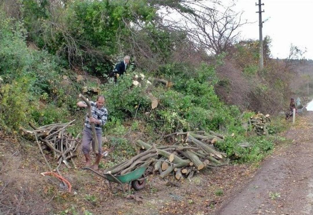 (&ouml;zel Haber) Kışlık Yakacaklarını Yol &Ccedil;alışmasından Sağlıyorlar