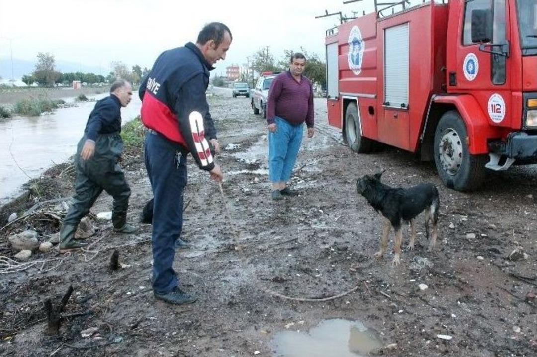 Yağmur Suyu &Ccedil;ayı Y&uuml;kseltince Mahsur Kaldı