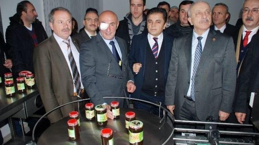 Kdz. Ereğli’ye Arıcılıkla Tedavi Merkezi Kurulacak