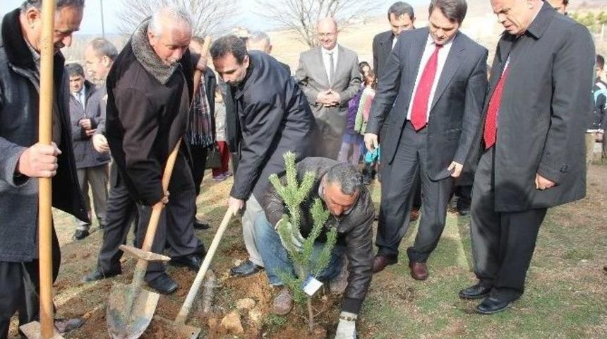 Yahyalı Şehitleri İ&ccedil;in Ağa&ccedil; Dikti