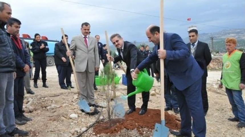 Mersin Pomem Bahçesine 6 Bin 800 Adet Fidan Dikildi