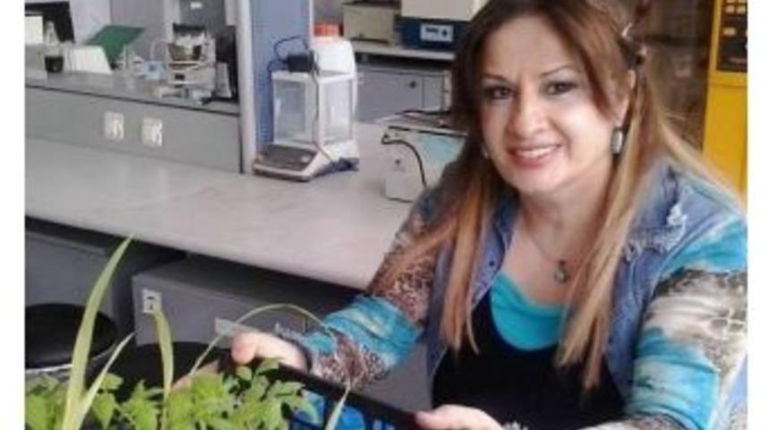 11 Aralık Uluslararası Dağ Tarımı G&uuml;n&uuml;