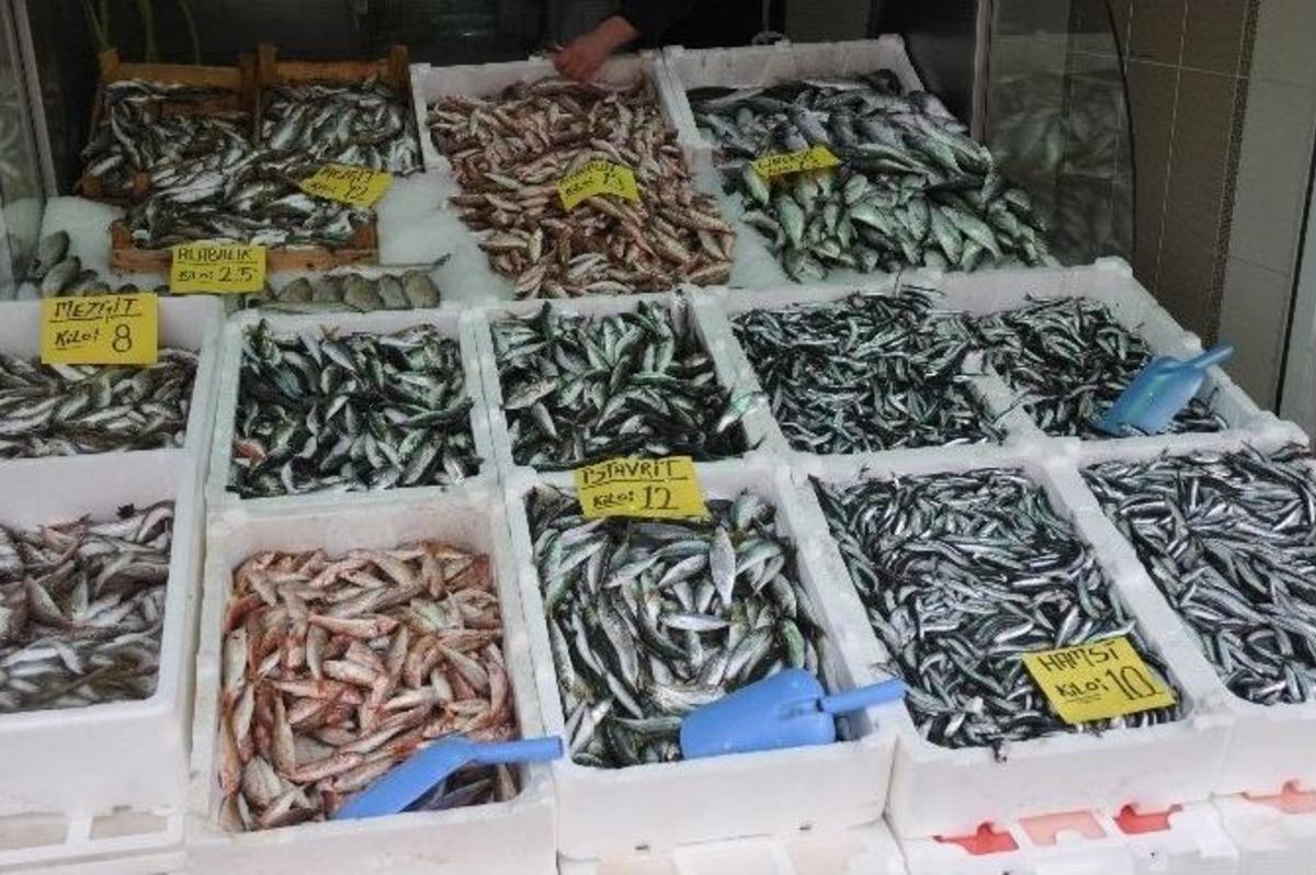 Karadeniz&rsquo;de Hava Soğudu Balık Fiyatları Arttı