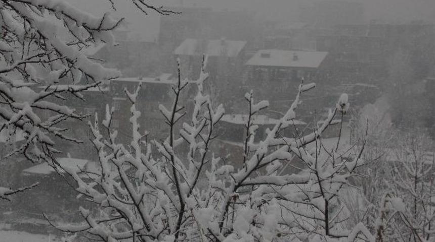 Hakkari&rsquo;deki Kar Yağışı Yerini Yağmurlu Havaya Bıraktı