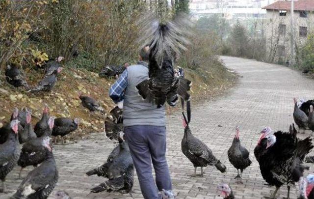 Kameramanın Zor Anları