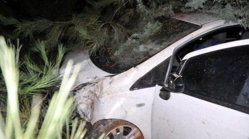 Ehliyetsiz Ve Alkoll&uuml; S&uuml;r&uuml;c&uuml;n&uuml;n Kullandığı Otomobil, Polis Aracına &Ccedil;arptı