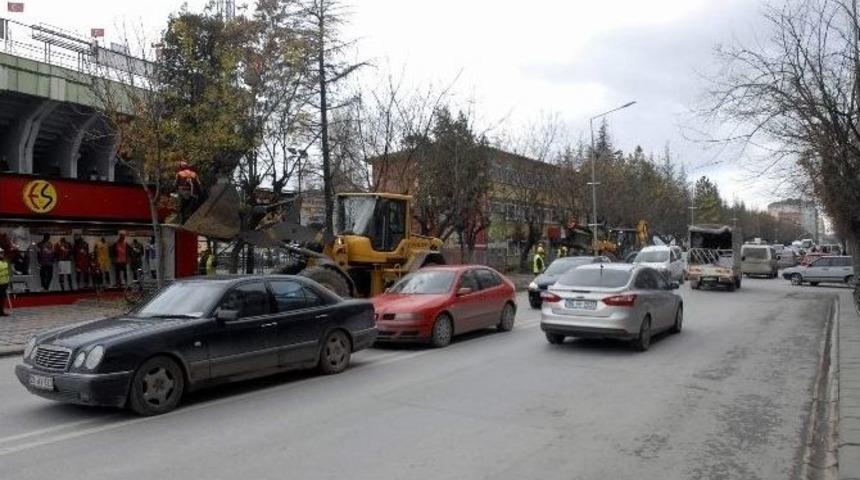 Ağa&ccedil;lar Budanınca Trafikte Yoğunluk Yaşandı