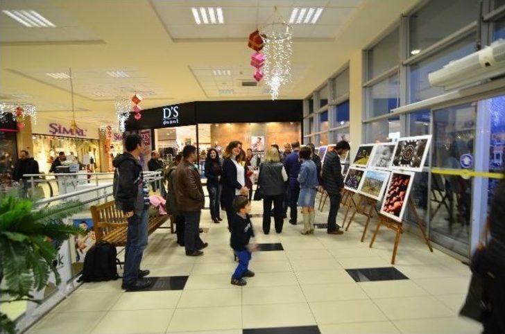 Edfok 3. Karma Fotoğraf Sergisi’ Ni Açtı. G1