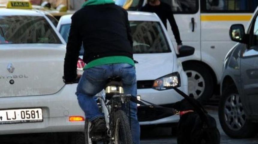 K&ouml;peğe Gezinti Eziyeti