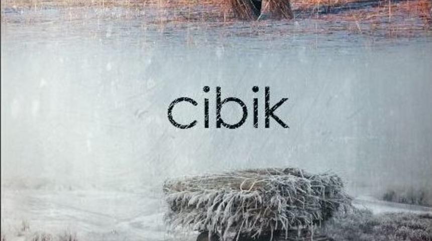 Cibik, Amerika&rsquo;da Da &Ouml;d&uuml;l Alacak