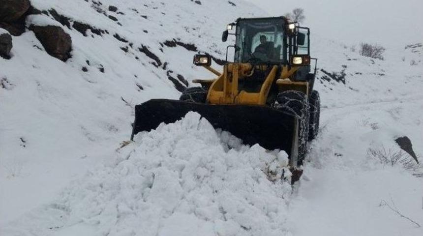 Kapanan K&ouml;y Yolları Yeniden A&ccedil;ıldı