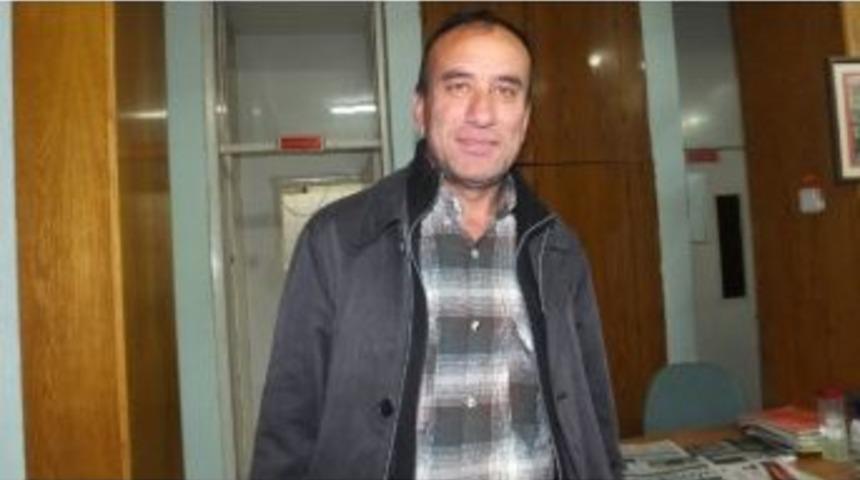 Burhaniye De Yağmurlar Zeytin Hasadını Uzattı