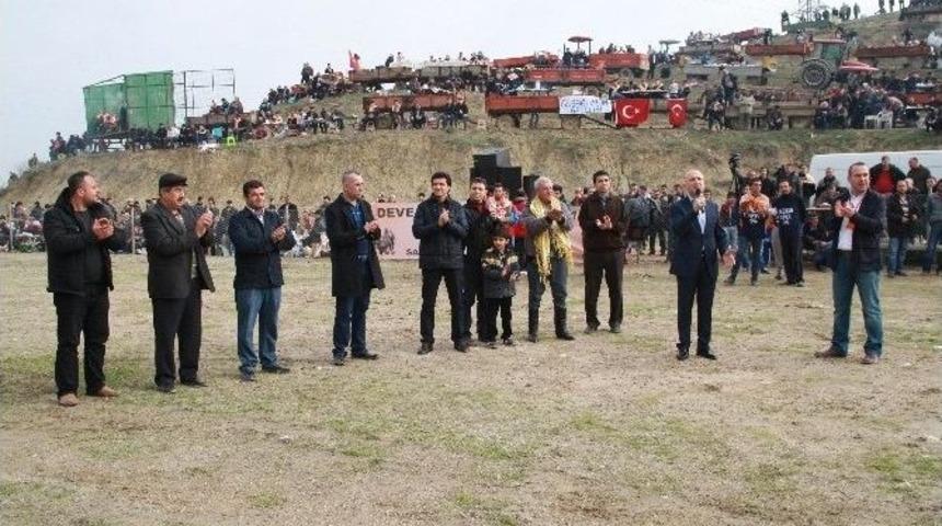 Sarayk&ouml;y&rsquo;de Deve G&uuml;reşleri B&uuml;y&uuml;k İlgi Topladı