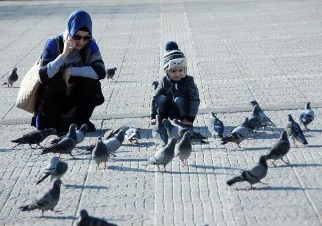 Samsun’Da Bahar Havası