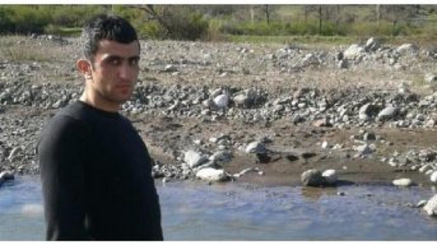 Kesilen Ağacın Altında Altında Kalan Gen&ccedil; &Ouml;ld&uuml;