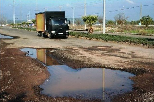 Altınova Halkının Yol Tepkisi 1