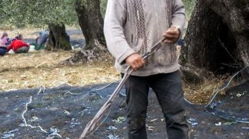 &Ccedil;ks Dosyaları Muhtarlara Teslim Edildi