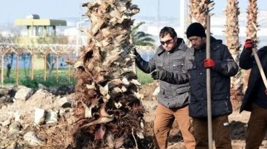 Avcı Ramadan Projesi’nde Yeşil Kuşak Harekatı Başladı