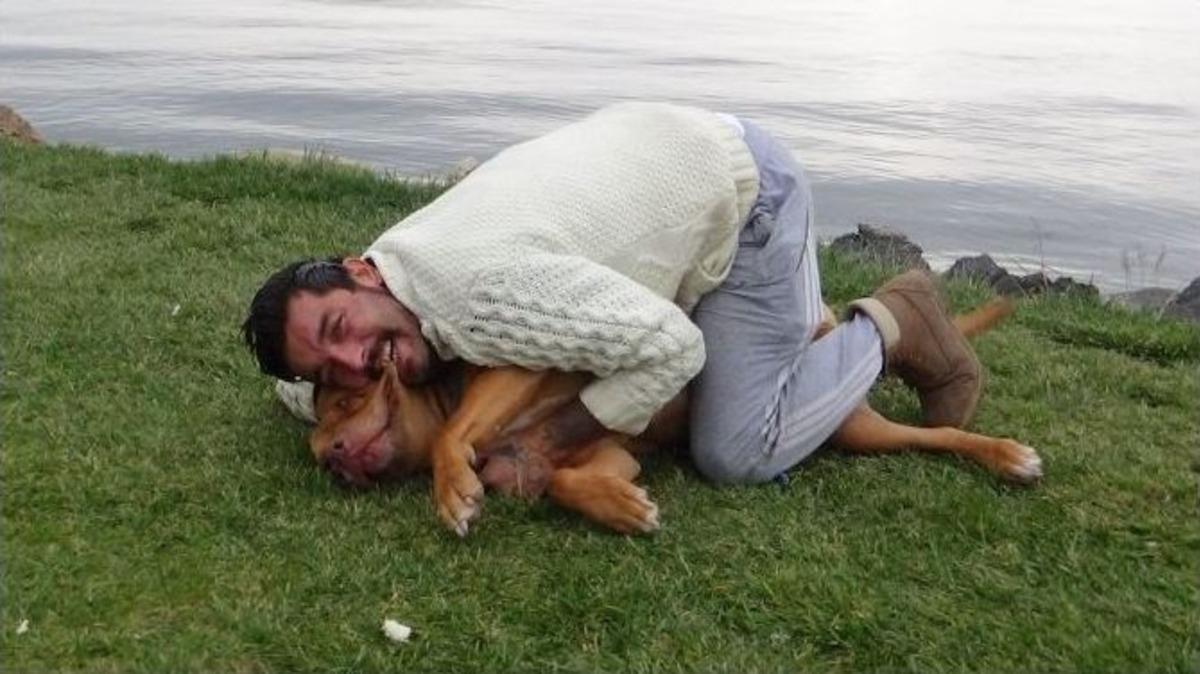 (&ouml;zel Haber) Tehlikeli Olmadığını G&ouml;stermek İ&ccedil;in K&ouml;peğini Isırdı