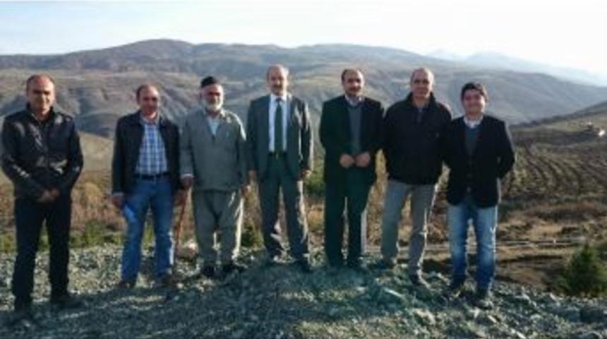 Kelkit Vadisinde 1 Milyon 500 Bin Fidan Toprakla Buluştu