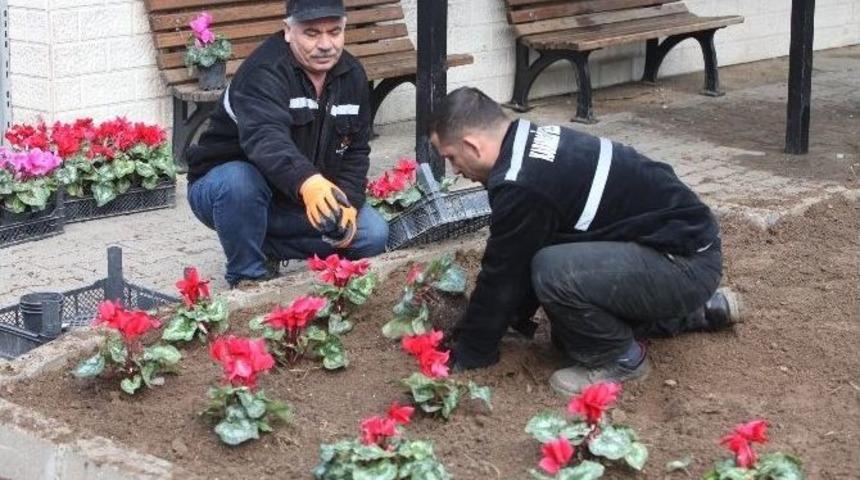 Karabağlar Mis Gibi &Ccedil;i&ccedil;ek Kokacak