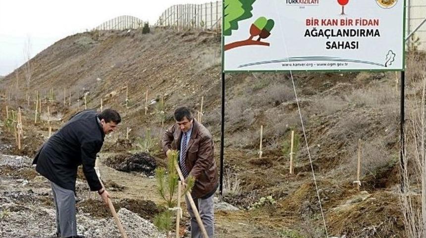 Eskişehir&rsquo;de &lsquo;bir Kan Bir Fidan&rsquo; Ormanı Kuruldu