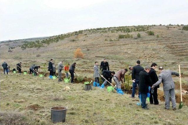 Eskişehir’de ‘bir Kan Bir Fidan’ Ormanı Kuruldu