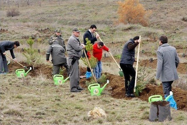 Eskişehir’de ‘bir Kan Bir Fidan’ Ormanı Kuruldu