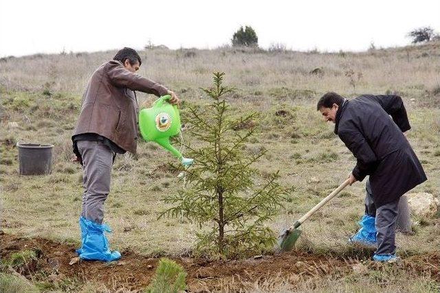 Eskişehir’de ‘bir Kan Bir Fidan’ Ormanı Kuruldu