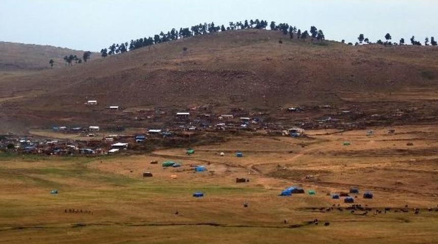 Serka&rsquo;nın &Ouml;d&uuml;lleri Topa&ccedil; Ve &Ccedil;ayır Zamanı&rsquo;na