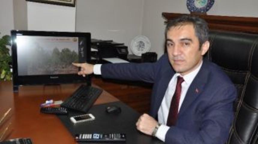 Yılbaşı &Ouml;ncesi &rsquo;ağa&ccedil; Kesmeyin&rsquo; Uyarısı