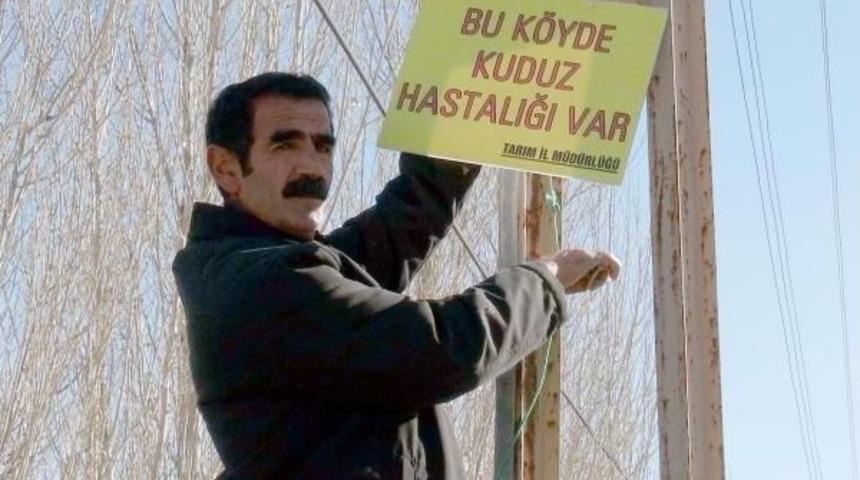 Erzincan&rsquo;Da 2 Kuduz Vakası Tespit Edildi