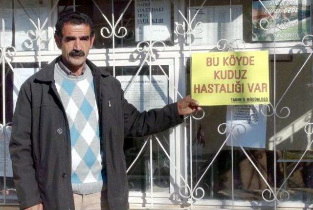 Erzincan’Da 2 Kuduz Vakası Tespit Edildi