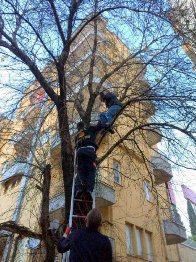 İtfaiyeden Çifte Kurtarma Operasyonu 1