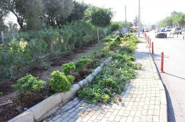 Bodrum Belediyesi Ekipleri Bitez Mahallesini D&uuml;zenliyor 1