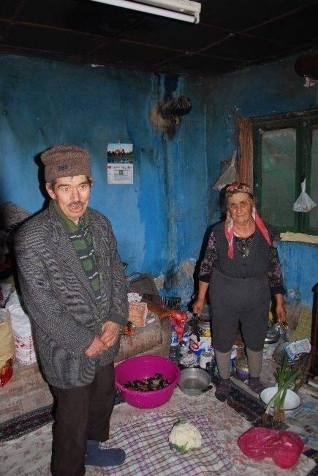 Küçük Ailesi’nin Derdi Büyük 1