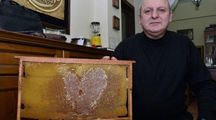 G&uuml;m&uuml;şhane&rsquo;de Arılar Aşka Geldi