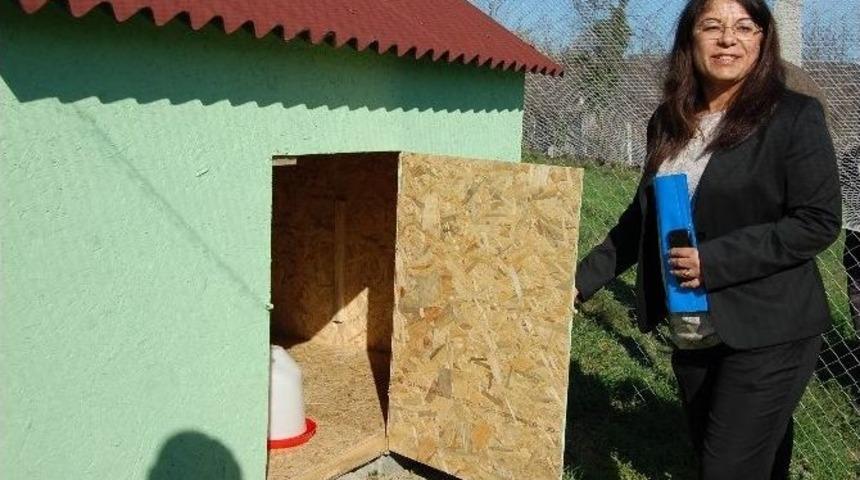 (&ouml;zel Haber) Zonguldak&rsquo;ta K&ouml;y Tavuk&ccedil;uluğunu Yayma &Ccedil;alışması Başlatıldı