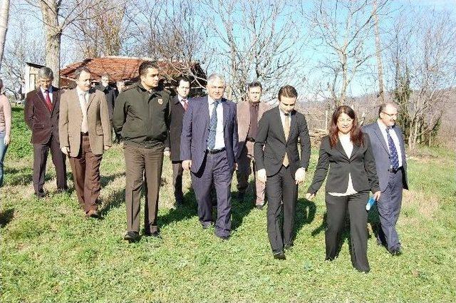(özel Haber) Zonguldak’ta Köy Tavukçuluğunu Yayma Çalışması Başlatıldı