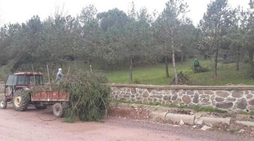 Uzuntarla Mesire Alanına Kış Bakımı