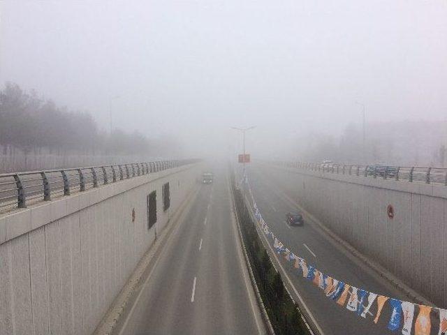 Elazığ’da Sis Hayatı Olumsuz Etkiledi